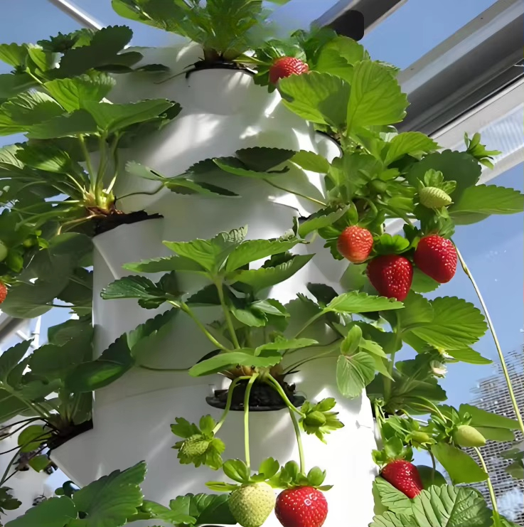 Modulares Hydroponik-Wachstums – Urban Farming Garden Bewertung und Preis